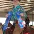 Reining Horse Association 14-18 World Champion